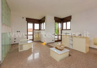 Samarate, Lombardia, 5 Camere Letto Camere Letto, 7 Stanze Stanze,3 BagniBagni,Villa,Vendita,2656