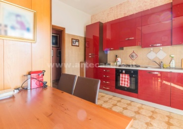 Canegrate, Lombardia, 2 Camere Letto Camere Letto, 3 Stanze Stanze,1 BagnoBagni,Appartamento,Vendita,3099