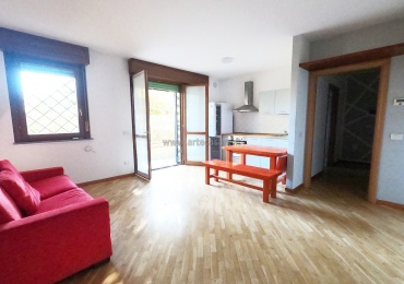 Nerviano, Lombardia, 1 Stanza Stanze,1 BagnoBathrooms,Appartamento,Vendita Usato,0,3389