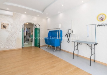 Samarate, Lombardia, 2 Stanze Stanze,1 BagnoBathrooms,Negozio,Vendita Usato,0,3453