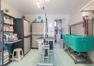 Samarate, Lombardia, 2 Stanze Stanze,1 BagnoBathrooms,Negozio,Vendita Usato,0,3453